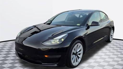 TESLA MODEL 3 2023 5YJ3E1EA3PF429778 image TESLA MODEL 3 2023 5YJ3E1EA3PF429778 image